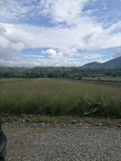 Teren 3000 mp intravilan Viisoara - 3