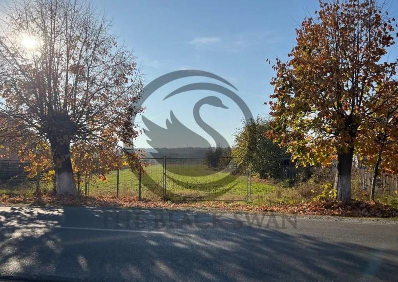 Teren intravilan de vanzare | 12.650 mp | Ghirdoveni, | C... - 10