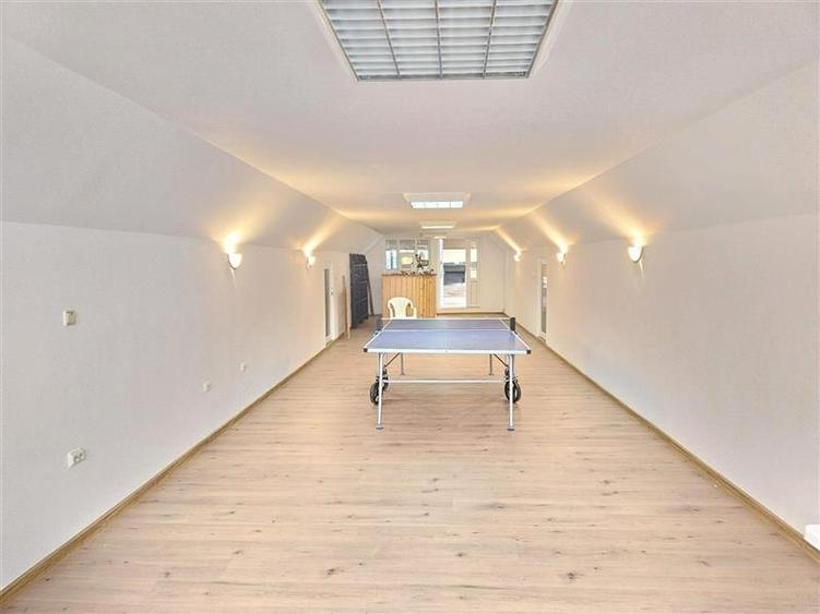 Luizi Calugara - spatiu comercial - stradal - renovat - 9