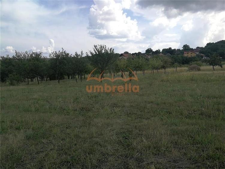 De vanzare teren 1.800/? intrav. in Deus- Chinteni ! - 5