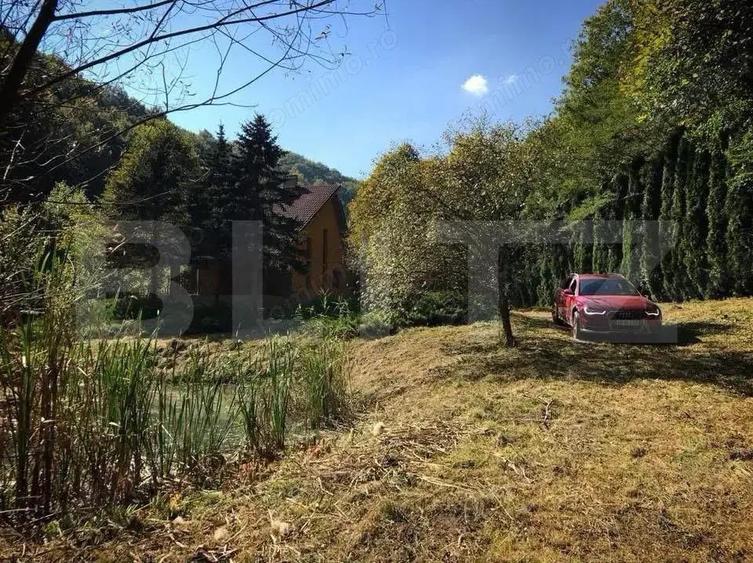 Casa de Vacan?a pe Valea Ighielului 3 camere, 2500 mp curte - 9