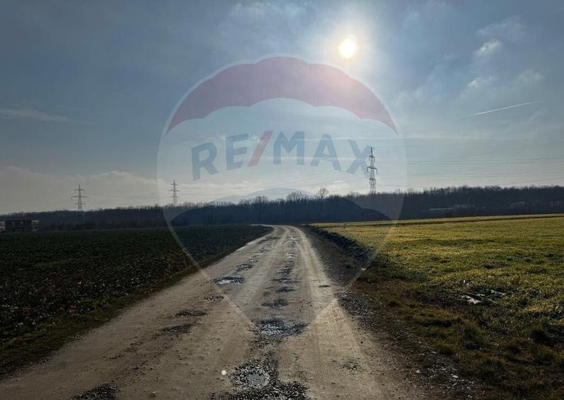 Teren 4,000mp Balotesti / Strada Rozelor - 7