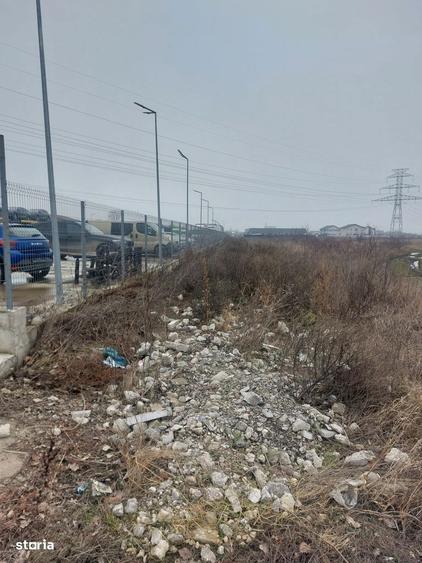 Clinceni - Olteni, Strada Fortului, Stradal - 1