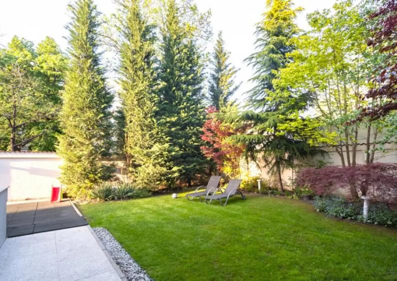 Vila Theodor Pallady de vanzare - O proprietate care va dep - 6