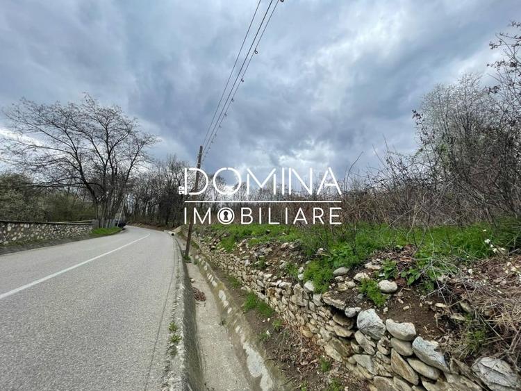 Vanzare teren intravilan - Runcu - oportunitate intr-o zona turistica deosebita - 6