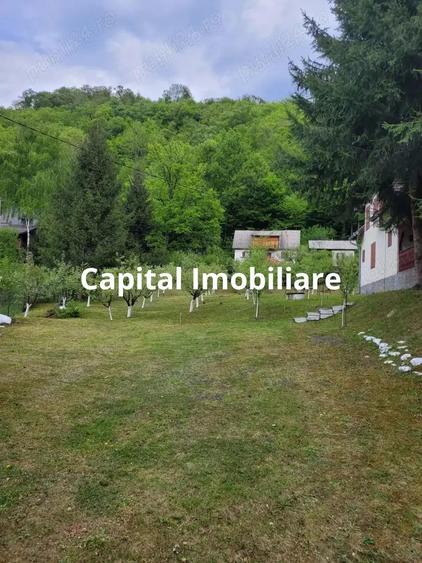 Proprietate Unica in Inima Naturii Galaoaia, Mure? - 3