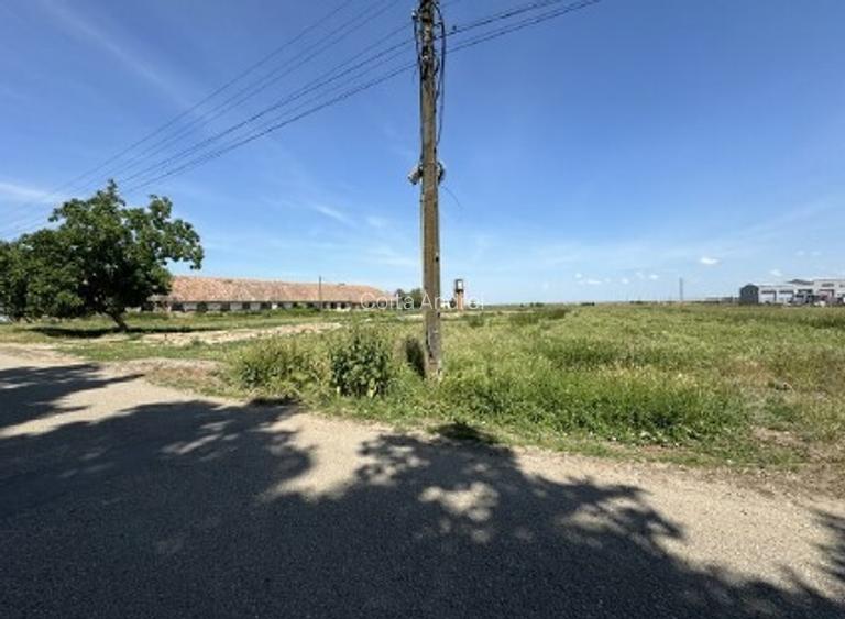 Teren Biharia la 1km de Autostrada A3