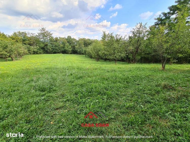 Teren intravilan in Poiana Campina zona retrasa 3287mp 10e - 5