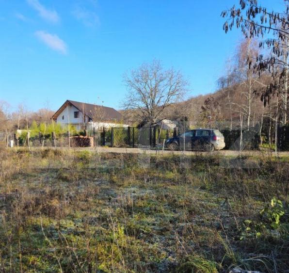 Teren intravilan 738 mp, zona Viforata, Comision 0 - 4