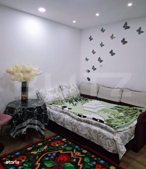 Apartament la casa, parter ideal investitie sau spatiu comercial, - 3