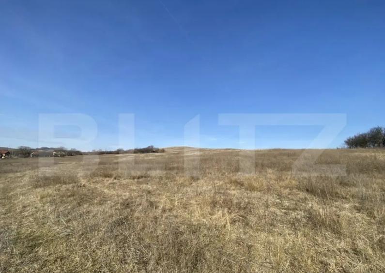 Teren extravilan in suprafata de 140551 mp in loc. Recea - 9