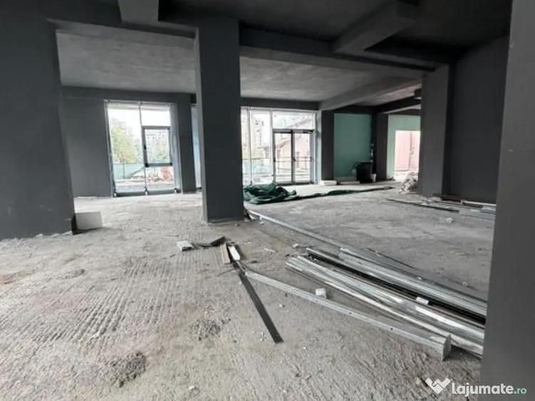 Zona P-ta Alba Iulia sp 165 mp open space +terasa 120 mp - 5