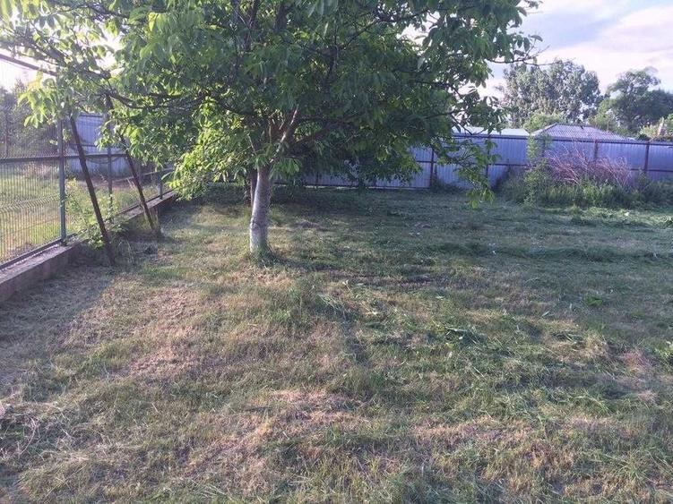 VISUL TAU LA TARA, LA DOAR 60 KM DE BUCURESTI! Teren intravilan 8402 mp + CASA 50 mp in Jugureni, Uliesti Paradis accesibil! - 3