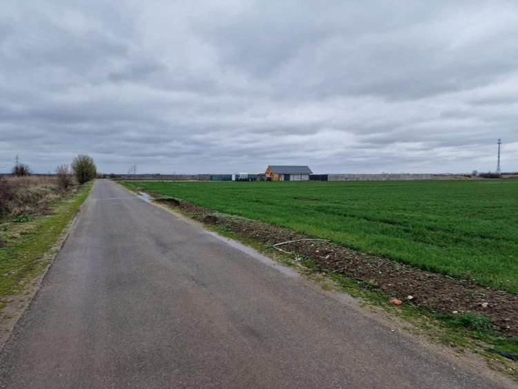 TEREN DE VANZARE DRAGOMIRESTI VALE - 5