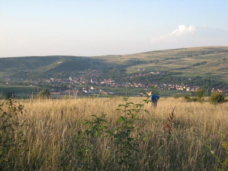 INVESTITIE! Teren intravilan 5700mp - Chinteni, jud Cluj! - 1