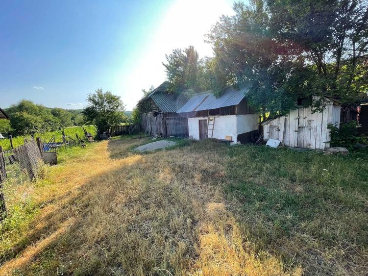 Vand Casa + teren 12.000 mp in Cernisoara, sat Modoia, Valcea - 6