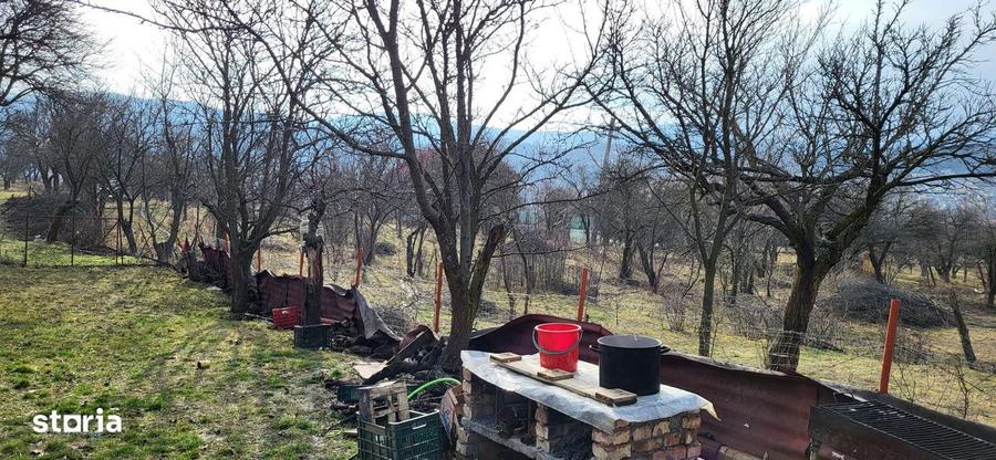 Teren Intravilan 43Ari zona Ortelec-Zalau intre case 4800eur/ar - 7