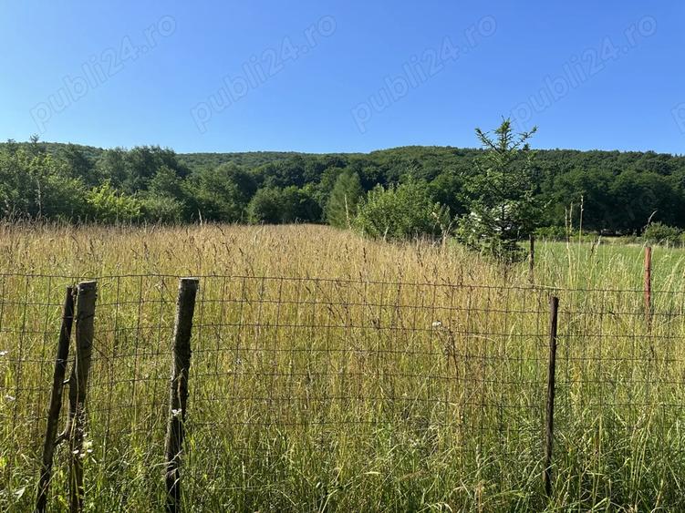 Casa de vacanta- Ozun, 30 km de Brasov - 4