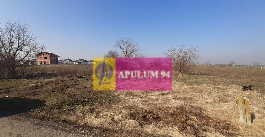 Teren investitie Ilfov - 4