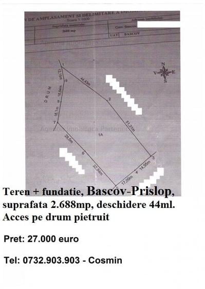 Teren Bascov, diverse suprafete - 4