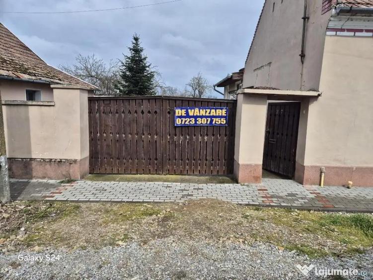 Casa plus anexa parter, Tamaseu central, gaz, sosea , ter 3040 mp - 13