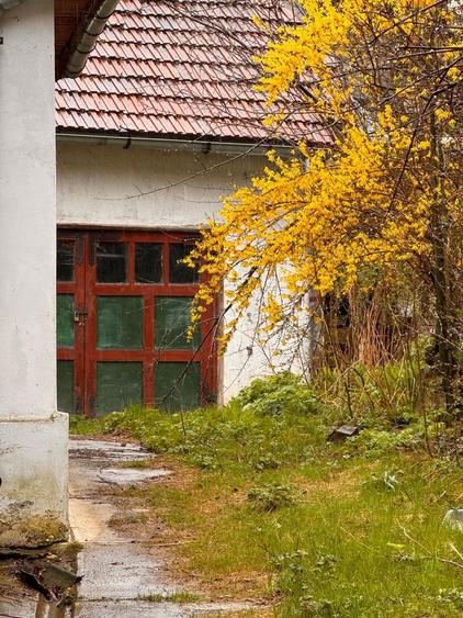 Casa de vanzare in Sinaia !!! Zona Furnica !!! - 1