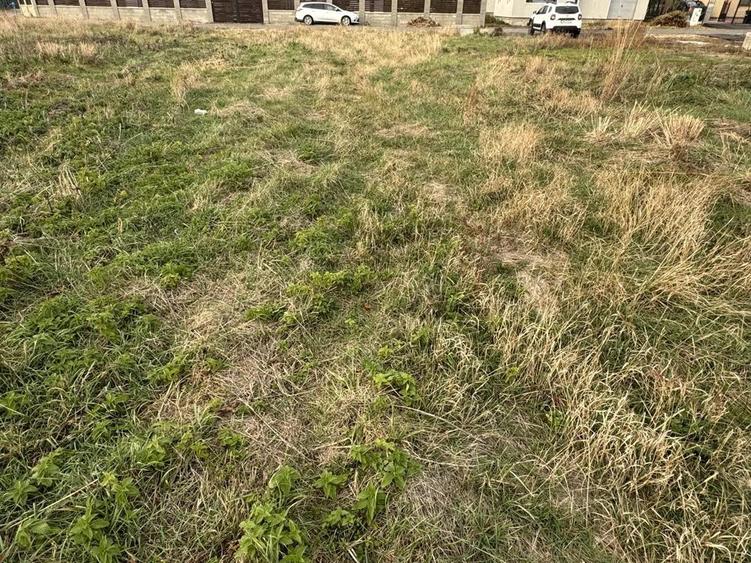 Teren Intravilan Dudestii Noi 646mp,Fs 20m,Utilitatile In Fata Parcelei,Asflat - 2