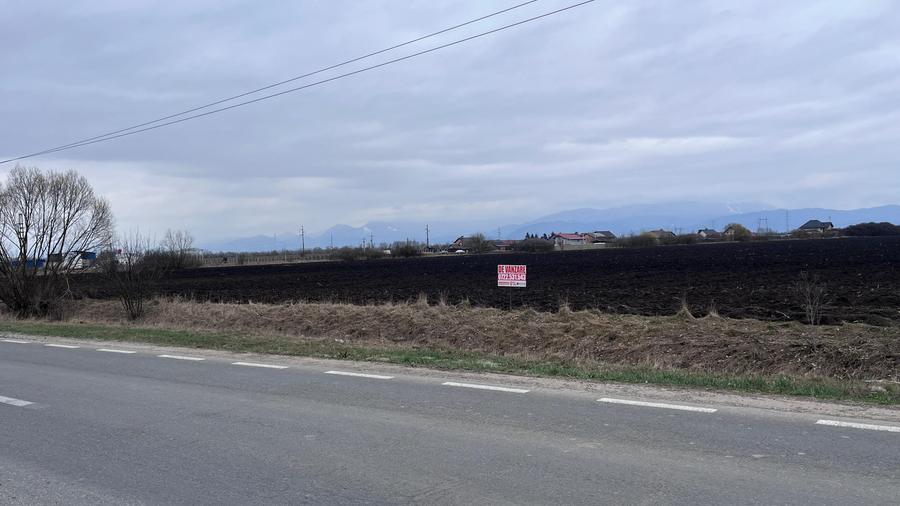 Teren 50000mp Extravilan-Intrare Halchiu-Cod 5235 - 4