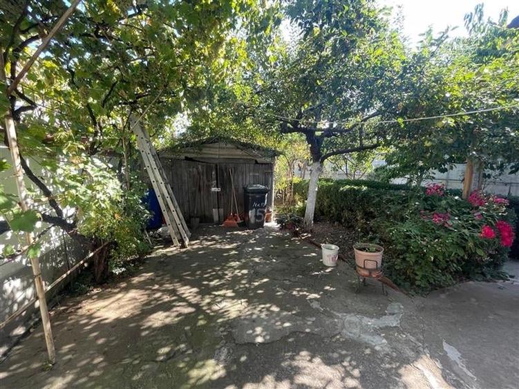 Casa + Teren 400mp Alunisului Brancoveanu - 4