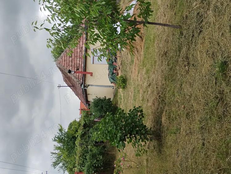 Casa la ?ara ?eica Mare - 8