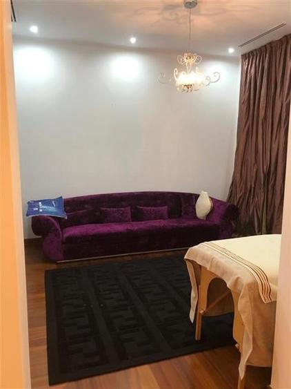 Apartament de inchiriat in zona Lascar Catargiu - pretabil birouri - 6