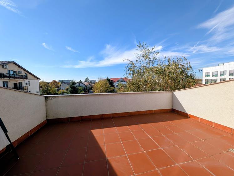 Jiului-Coralilor-Damaroaia,eleganta,robusta,garaj,curte intima,vegetatie matura - 29