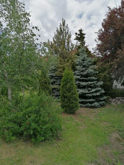 Casa si teren vanzare Stefanesti Arges( Golesti) sau schimb cu apartament situat in Bucure?ti - 2