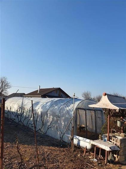 RECO Teren Santandrei 2000mp - 4