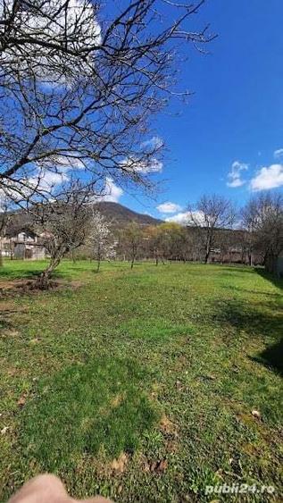 Str. Aurel Vlaicu (Valea Borcutului) - teren intravilan, 20 ari - 1