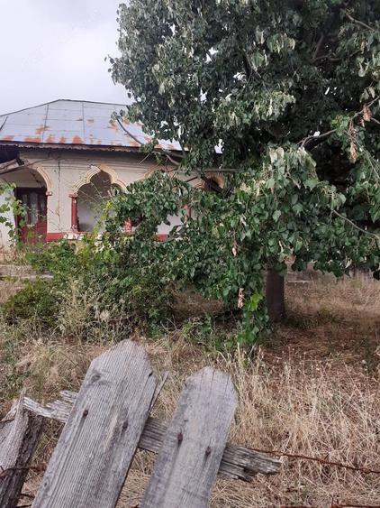 Casă cu Teren 2300 Mp în Calopăr