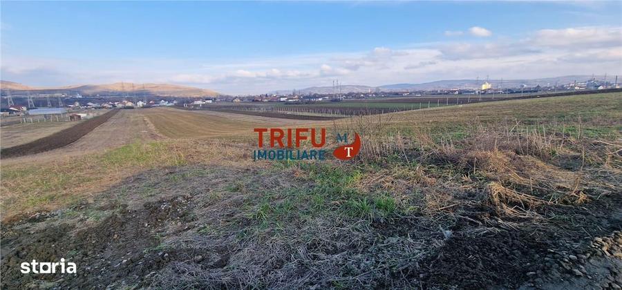 Teren de vanzare Zona Barabant! - 3