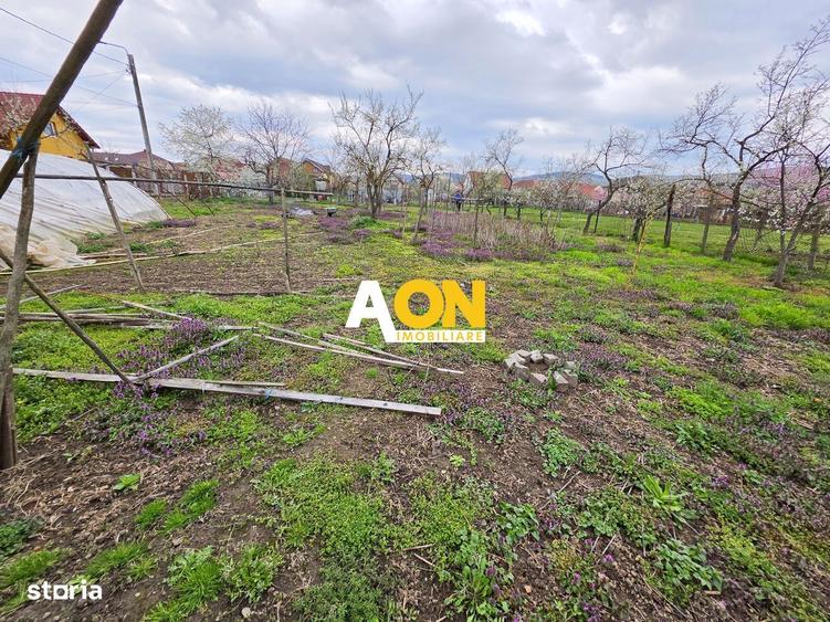 Teren intravilan parcelat, 1621 mp, cu casa demolabila, Barabant - 1