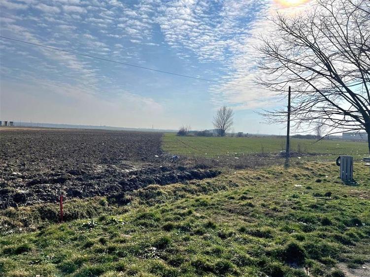 2 PARCELE TEREN INTRAVILAN | 3000mp + 2985mp | NOJORID E671 (OradeaSalonta) | B - 1