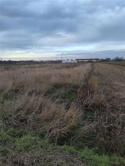 RECO Teren intravilan, Bors - 1