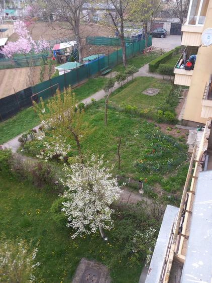 Chirie 2 camere Dambu- 15 mai- 1500 Ron - 7