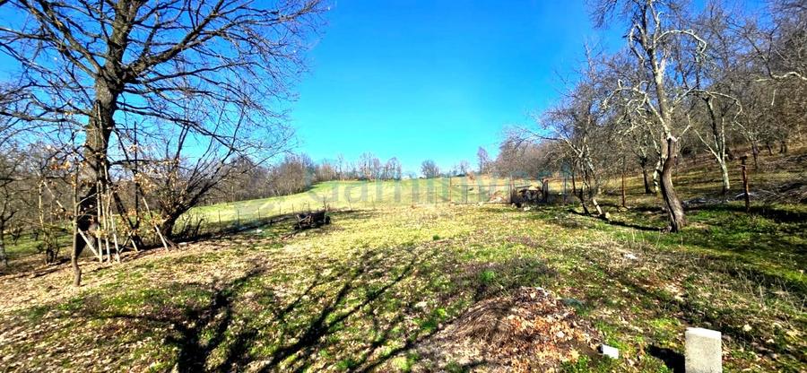Casa la tara de vanzare in Cosdeni, Bihor - 1