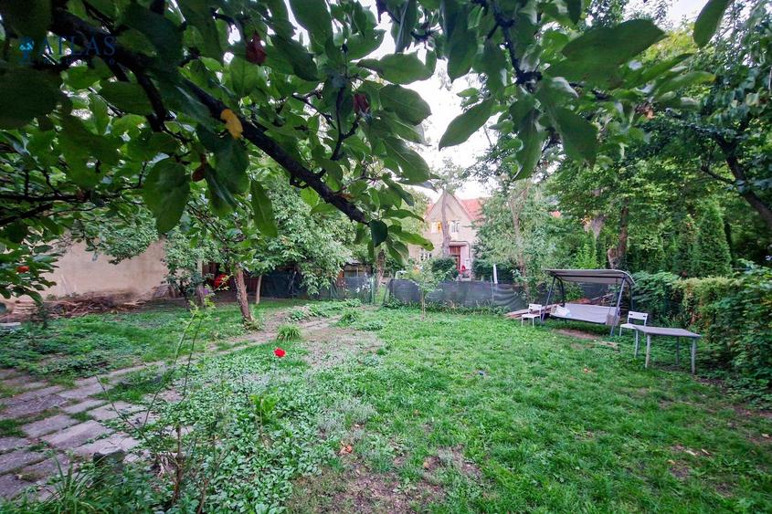 Centrul istoric, 2 camere, 48 mp., gradina, proaspat renovat, langa magazin Star - 8