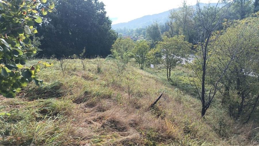 Teren de vanzare Barlogu valcea - 6