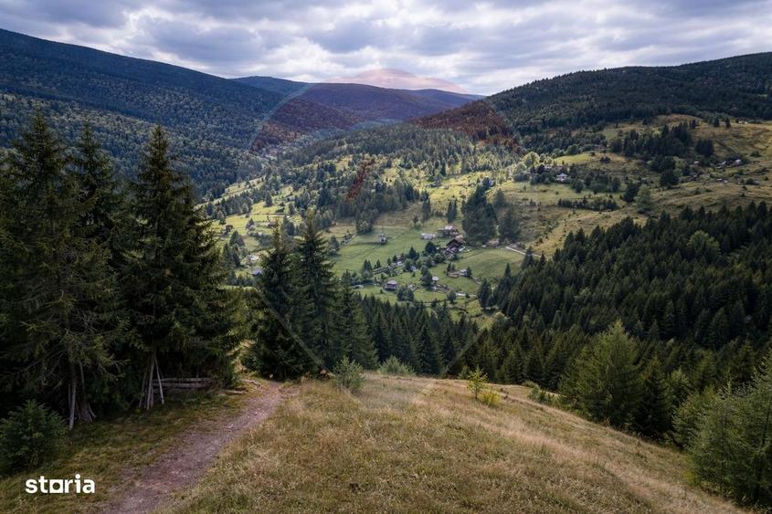 Oaza de liniste in inima Apusenilor teren 6.500 mp Arieseni - 4