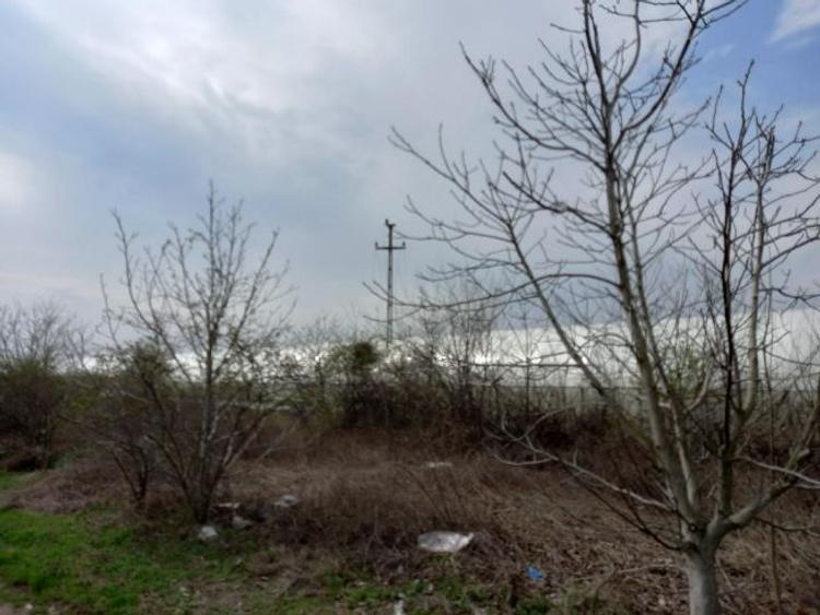 PROPRIETAR ,teren dezmembrabil in Varlaam , Adunatii Copaceni , Giurgiu - 5