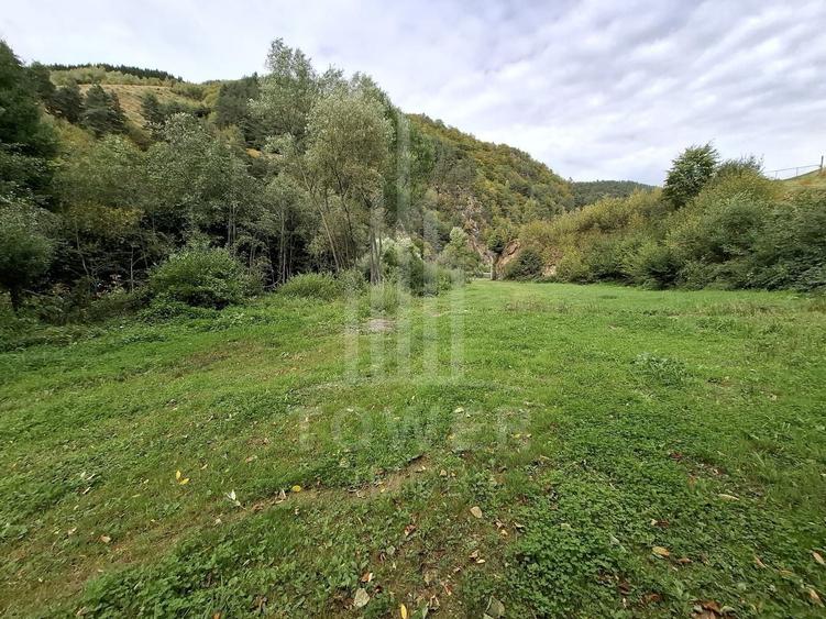 Teren Intravilan de Vânzare – 3622 mp – Râu Sadului - 8