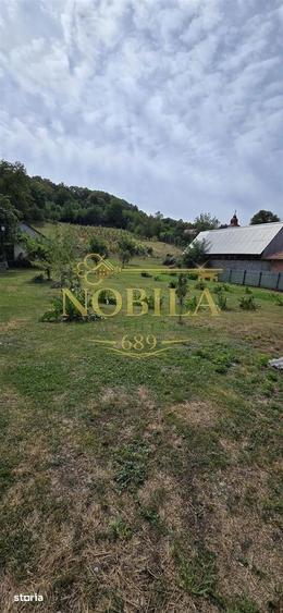 Teren intravilan + extravilan 10.537 mp casa, livada sau ferma de fa - 8