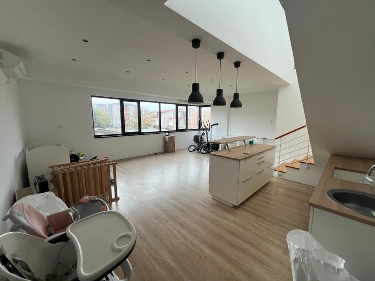 Dimitrie Leonida Metrou - 2