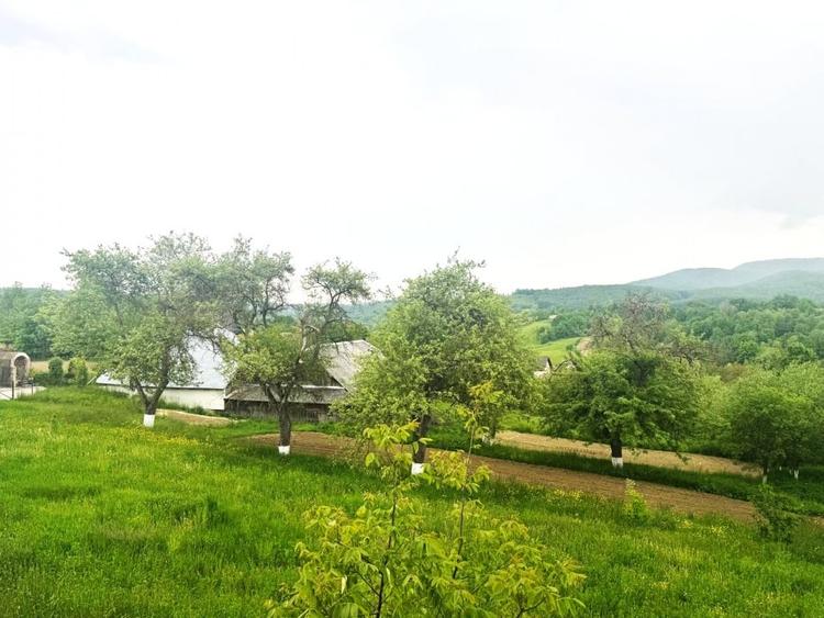 Casa de  vis la tara - vedere panoramica - living 60 mp - in inima  Cacicai - 17